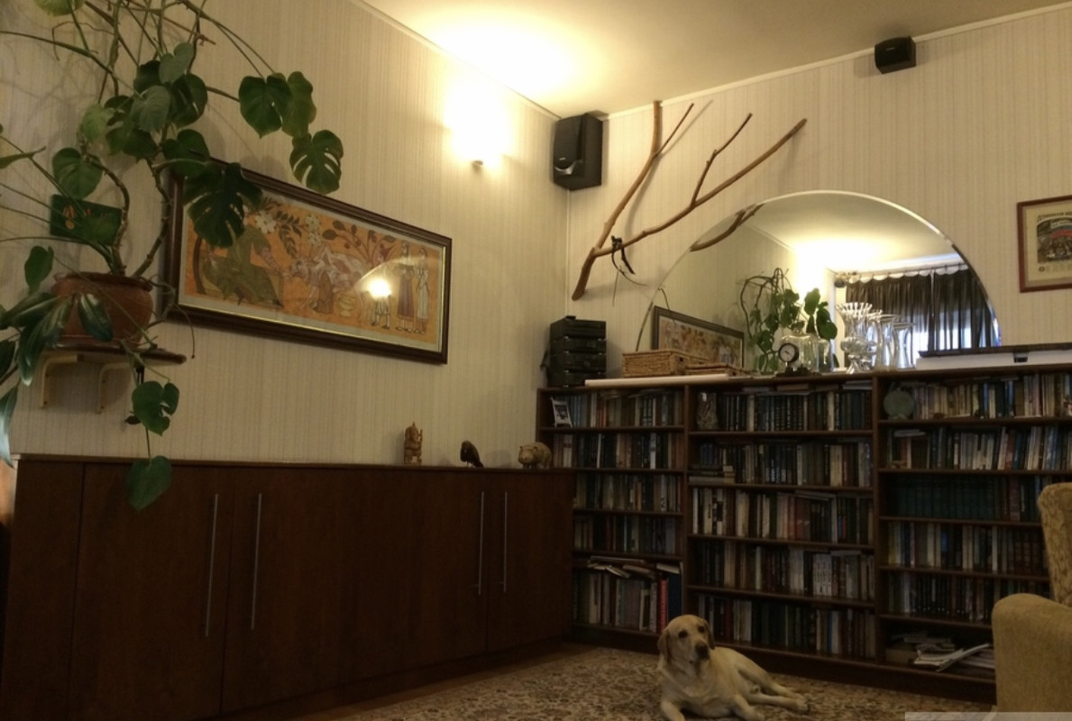 C3E4491C-6272-42ED-B813-FB353797BD2F