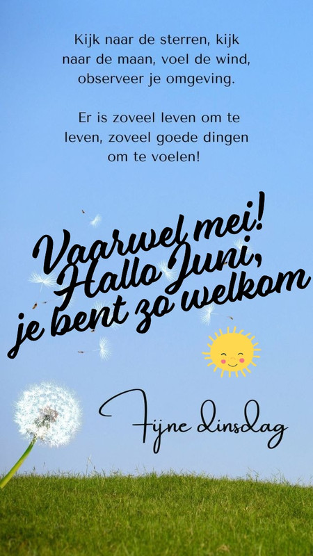 dinsdag