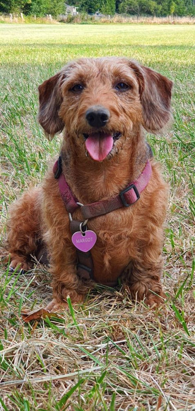 [Image: Resized-20220815-090620.jpg]