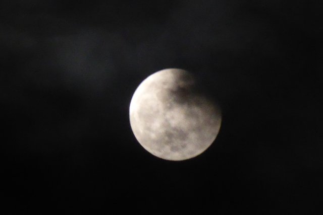 P1060332.jpg