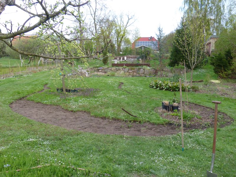 2014-04-13 Gräserbeet3