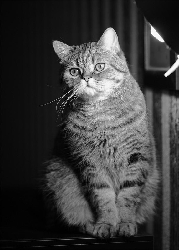 10B26E04-9E9E-421F-B8F8-D637D45B7CB7