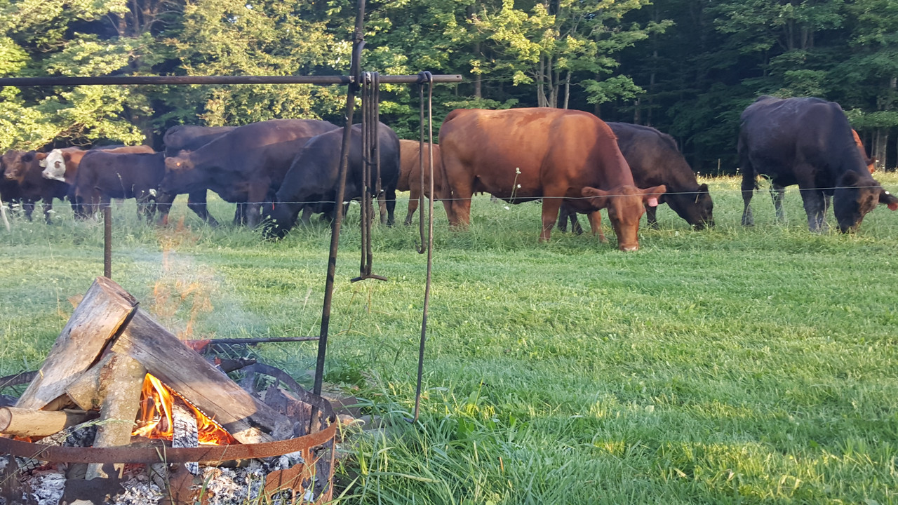 Herd at cabin 8-19-19