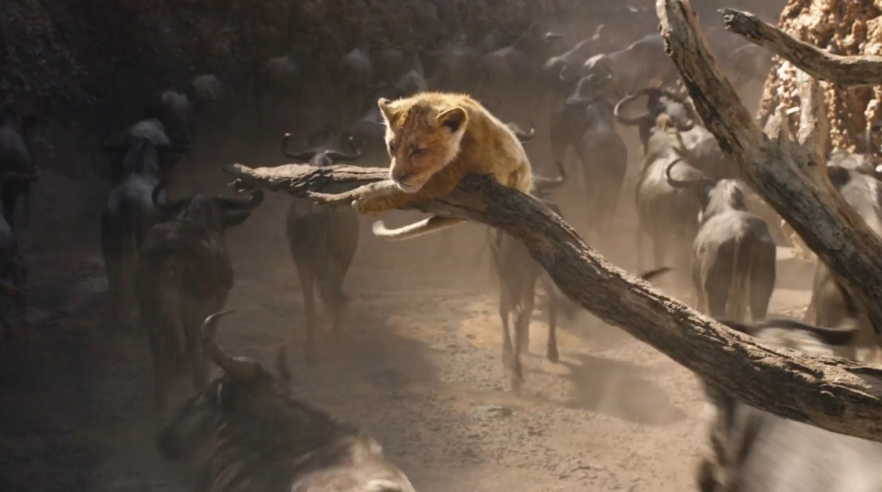 The Lion King 2019 BluRay [Hindi + Tamil + Telugu + English] 480p, 720p, 1080p ESub Screenshot