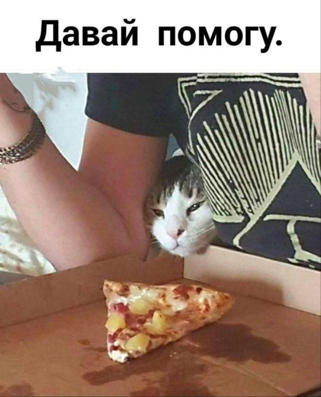 50159f2f424255aff1b28353945ba087