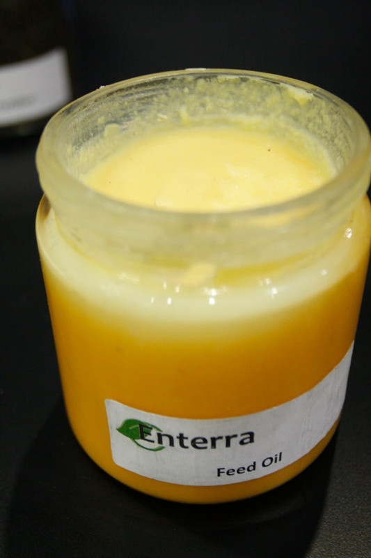 larvae-feed-oil.jpg