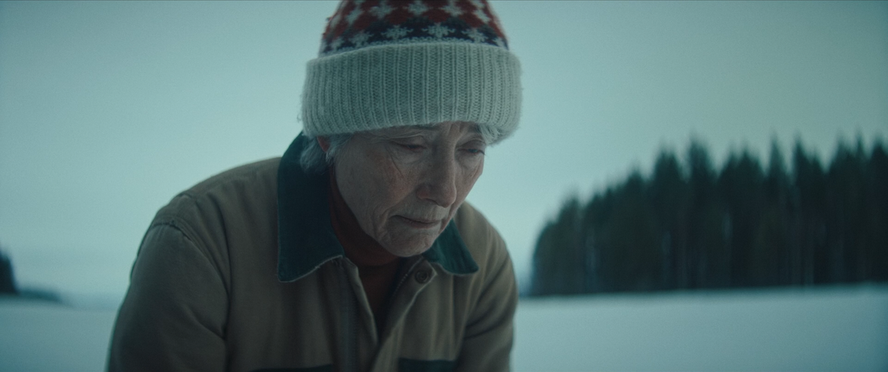 Dead of Winter 2025 BDRip 1080p x264 sele Zen mkv snapshot 00 12 36 881