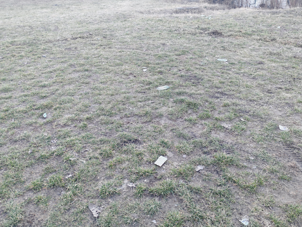 IMG 20260218 163716