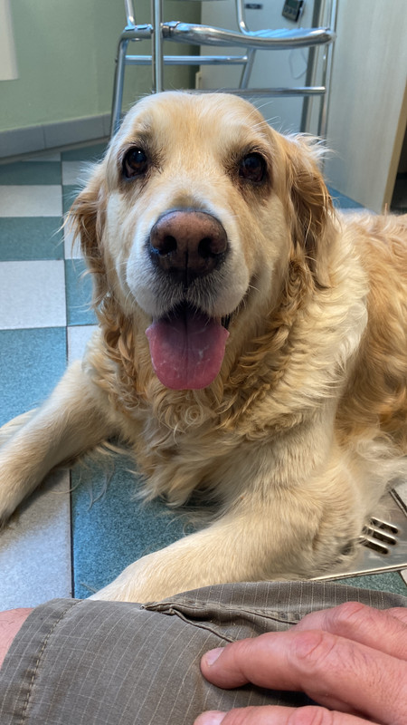 C9EAAA0C-A38B-48FC-B35F-FEC3A03EF659