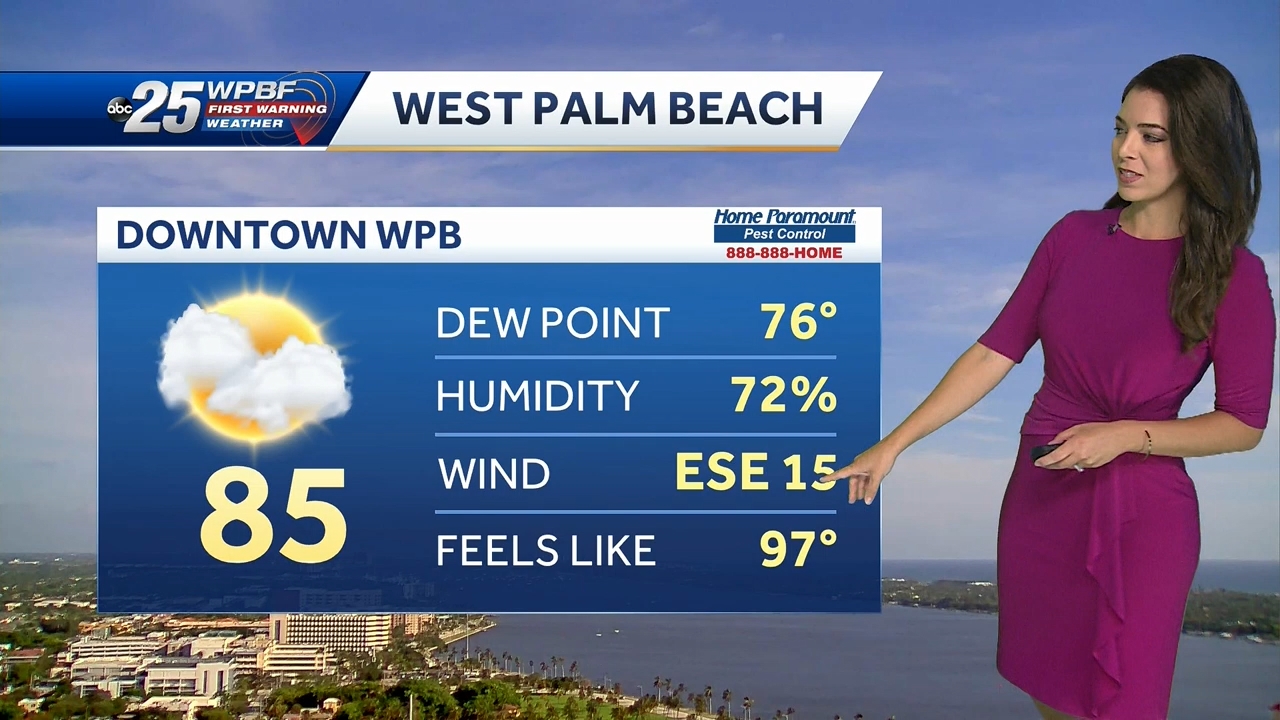 10.07 - 14.00.00 - WPBF 25 News at 9 00 AM..ts_snapshot_00.24.28.750