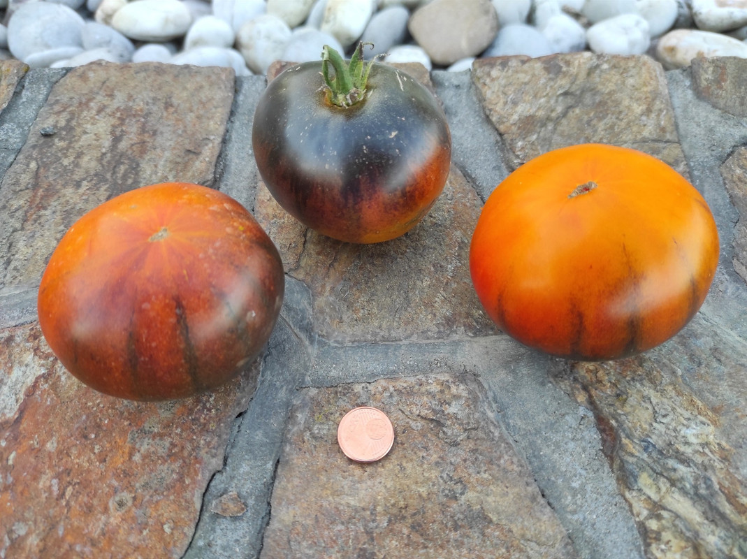 543382845_24485663314386037_732222707925205296_n