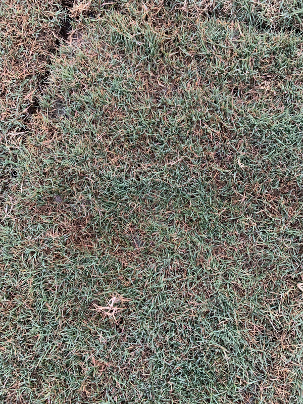 DA33524B-D88F-412F-89BF-5E763A51AD8A