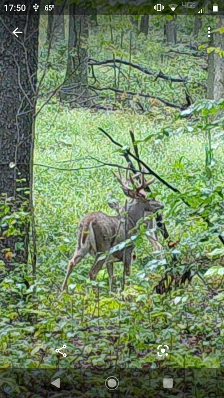 Screenshot_20200907-175027