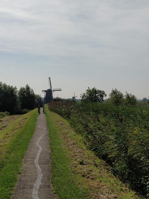 Quinto y último día: Kinderdijk y Rotterdam - Road Trip Holanda con niños (1)