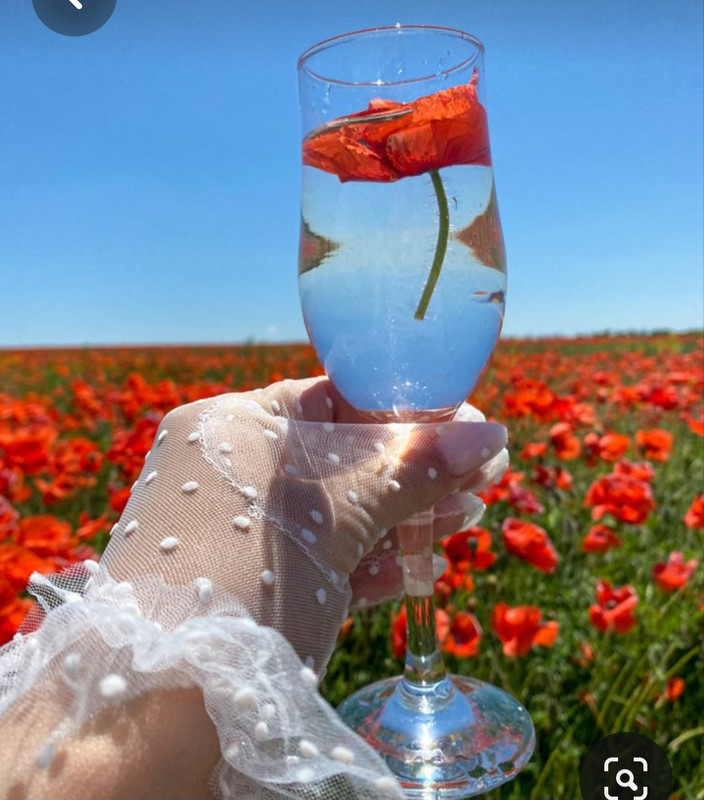 Screenshot_20230719_221853_Pinterest