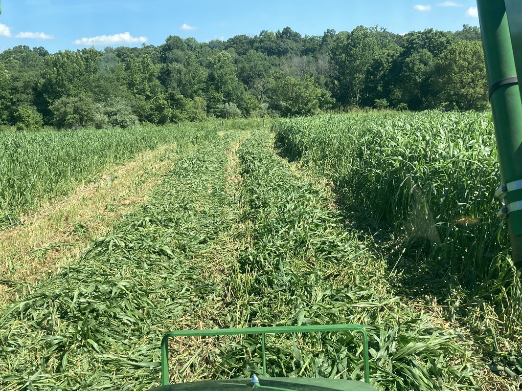 724FC5F5-FCCF-4090-937E-A1CF315444AC