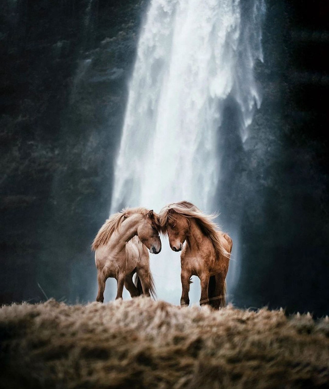 Screenshot_20231127_234929_Instagram