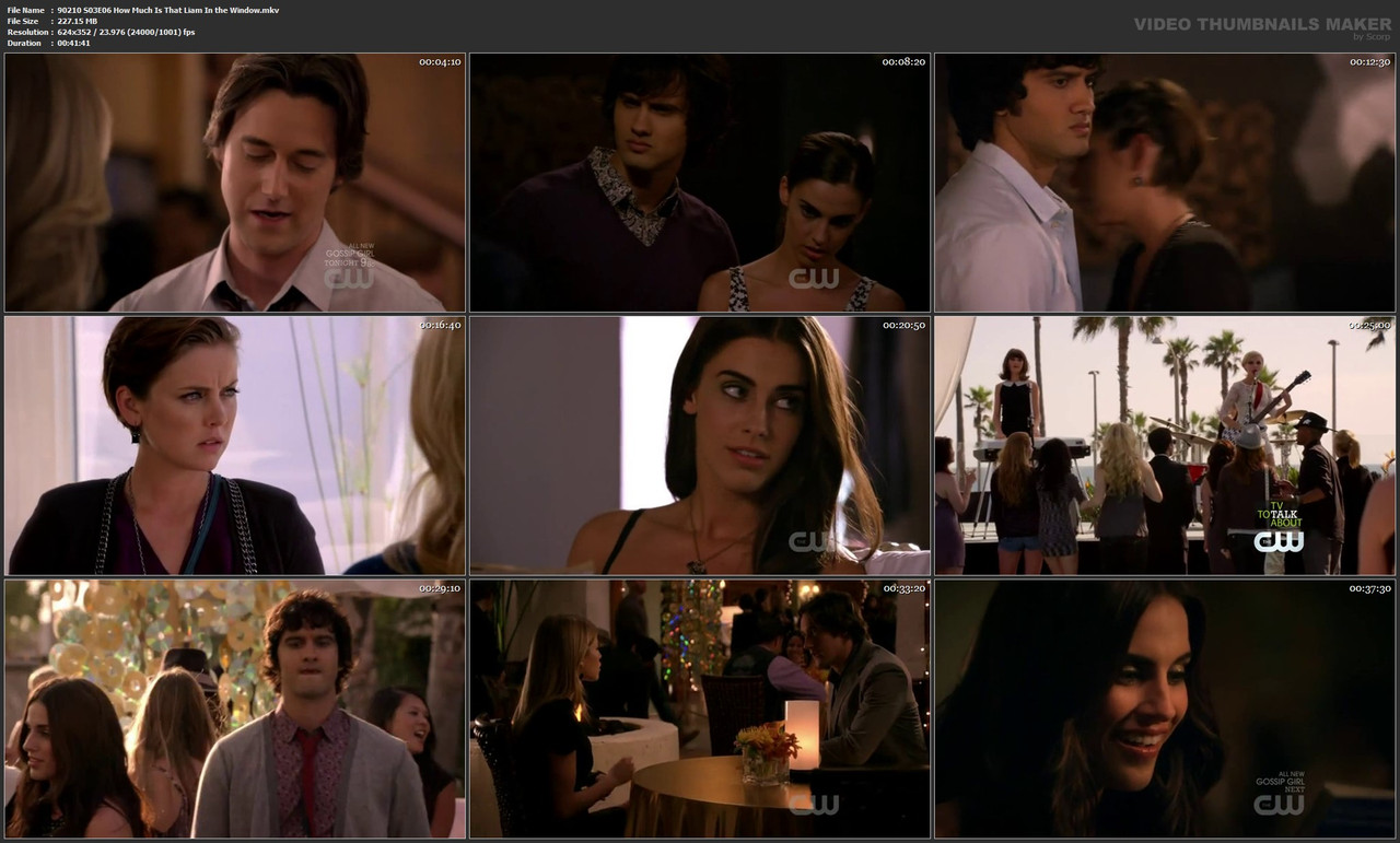 90210 S03E06 How Much Is That Liam In the Window.mkv