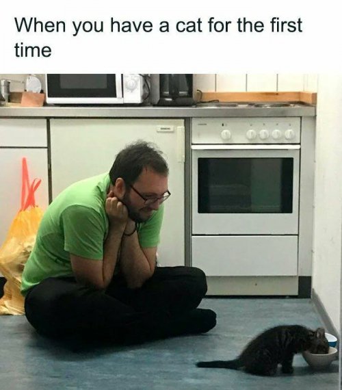4th.jpg