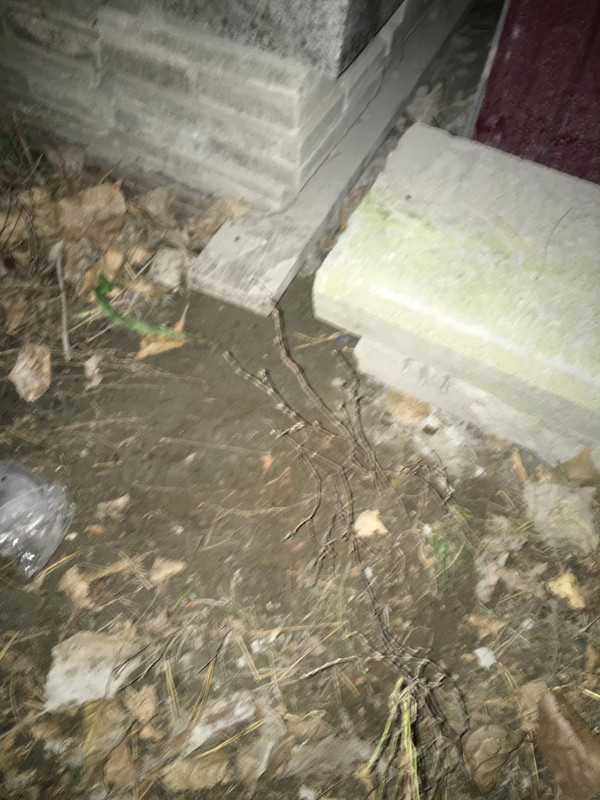 6EBDED88-9050-40EB-B4C6-37BAFFF0D71D