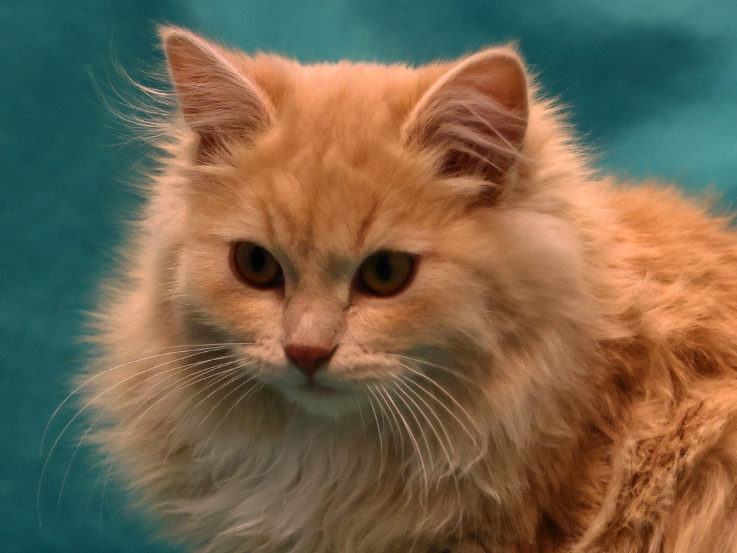 8D4E1DB6-ADAD-4518-B927-EA458ECE2DD7