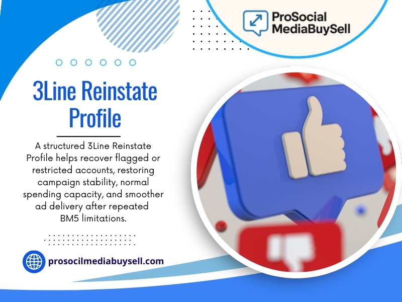 3Line Reinstate Profile