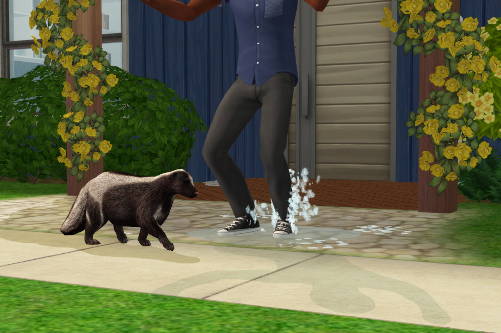 Sims2-EP9-RPC-2021-09-06-14-35-47-13