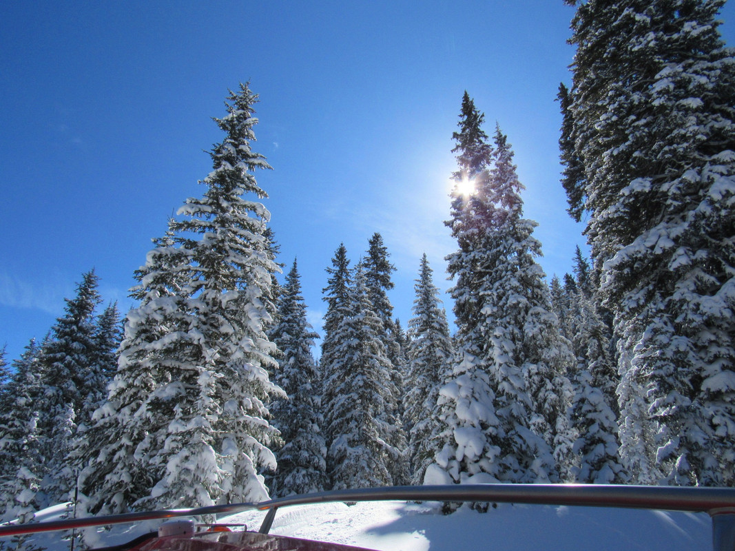 IMG 4936 — Postimages