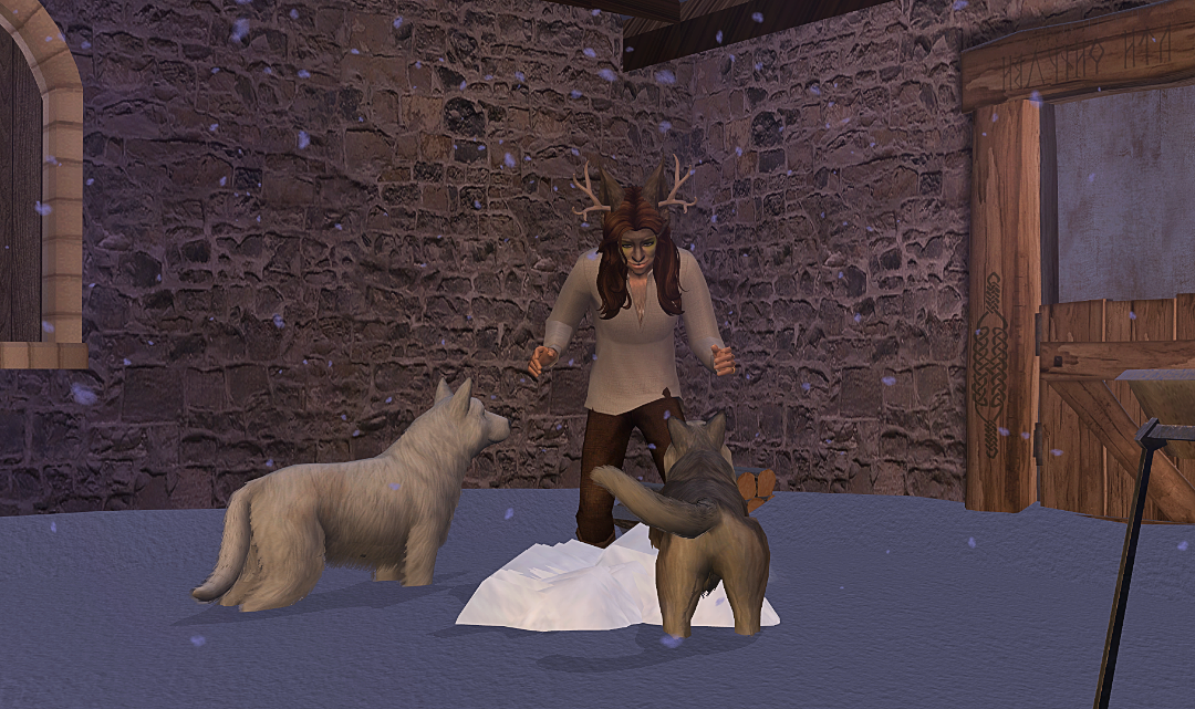 screenshot_2026_02_03_21_14