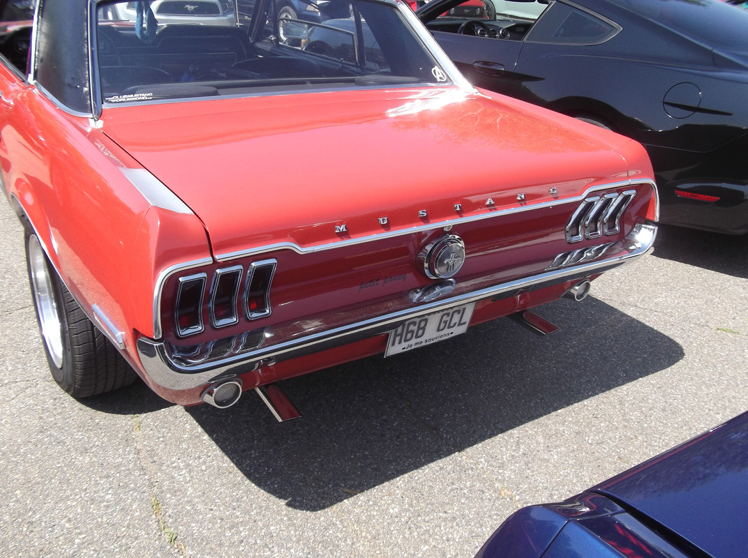 Activité 2023: Bénédiction des Mustang le 28 mai 2023 1968-4