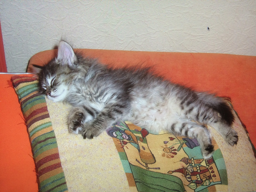 1CD70E29-89BB-4154-BEC4-412C57373E68