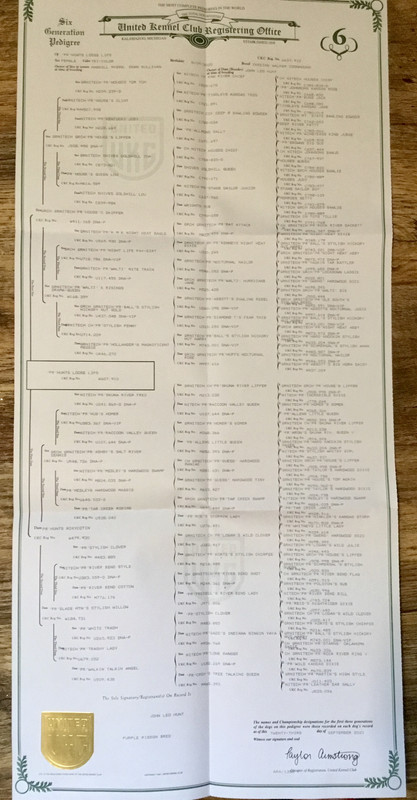 9B324106-DE76-4AA5-90C0-69E8FEA36CD8