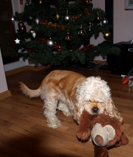 3 Kitokiu atstumimas (508 x 600)