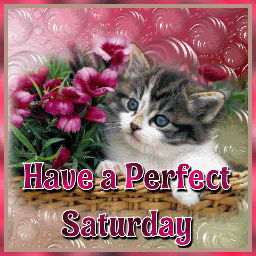 SATURDAY-samedi-19