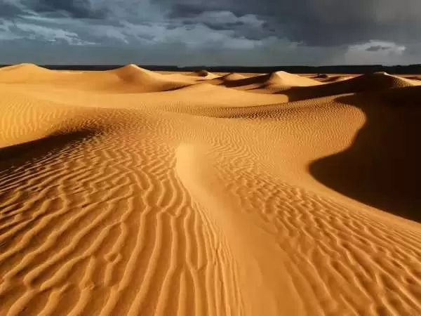 [صورة: sahara-desert-profile-9594-1-1701195319.webp]