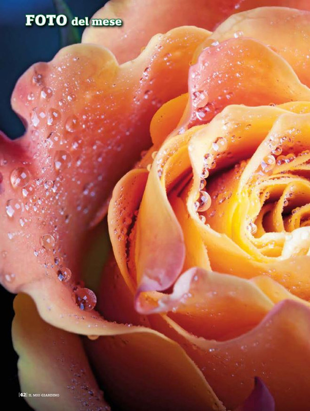 Il Mio Giar Mag-Giu 2020 (5)