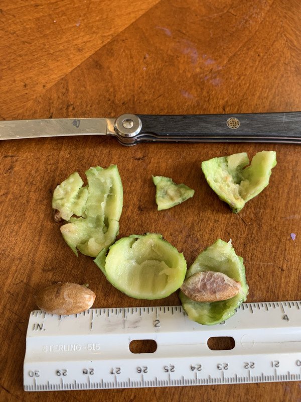 2DBDD333-C7D4-437D-8EA7-F01A84D2311C