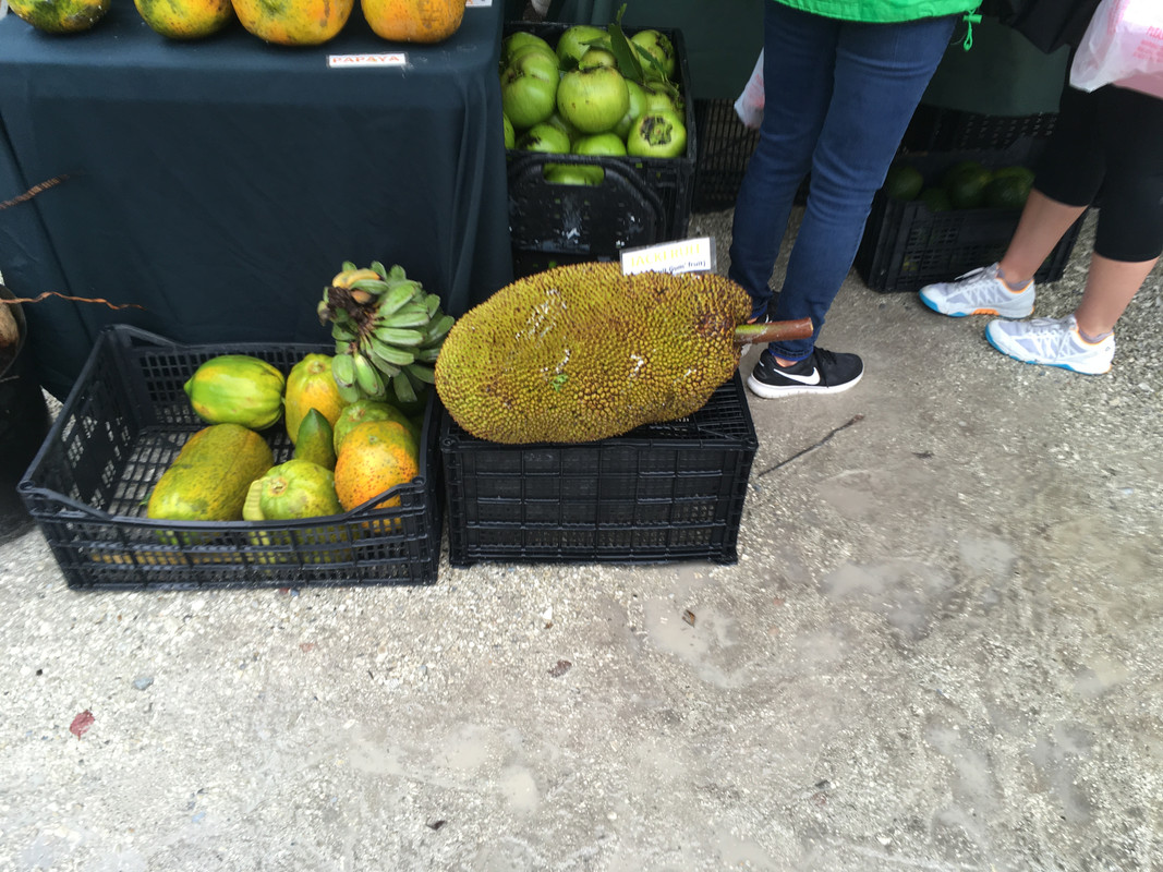 BA791735-FC58-4C37-A6C6-4C4F3EE836E8