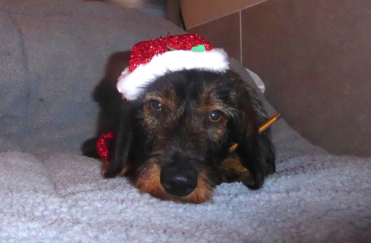 [Image: P1040282.jpg]