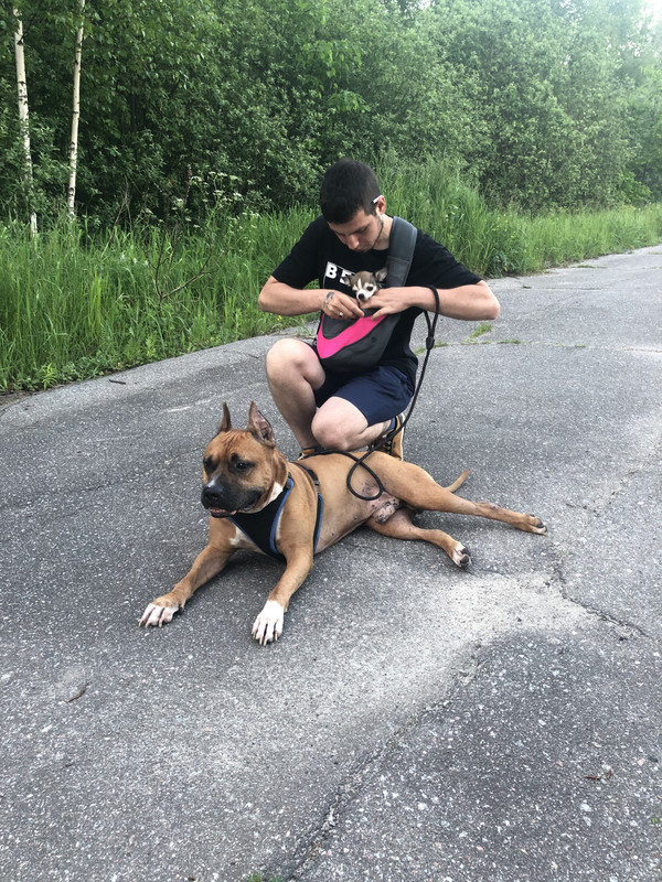 F68CB0BC-8141-4912-84EA-0A209DBA0D1E