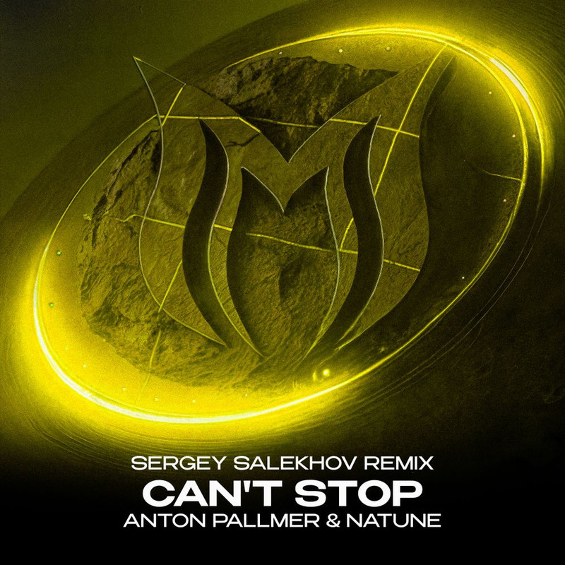 Anton Pallmer; Natune - Can't Stop (Sergey Salekhov Extended Remix)