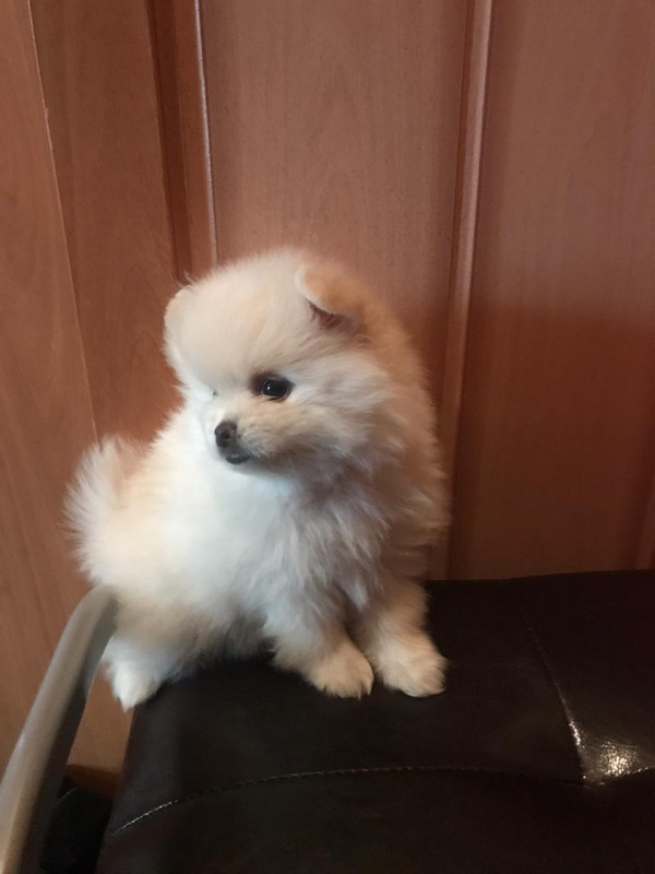 728CDD34-13B2-4432-B514-108C5D68C5DC