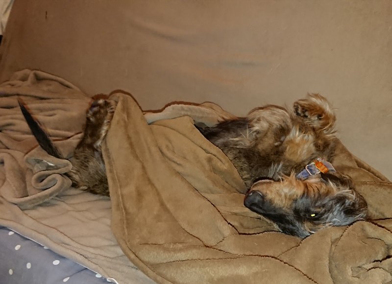 [Image: 20240329-230615.jpg]