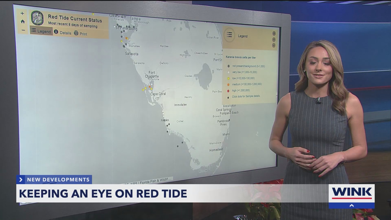 WINK News at 11_20241227_04000435.ts_snapshot_07.21.468