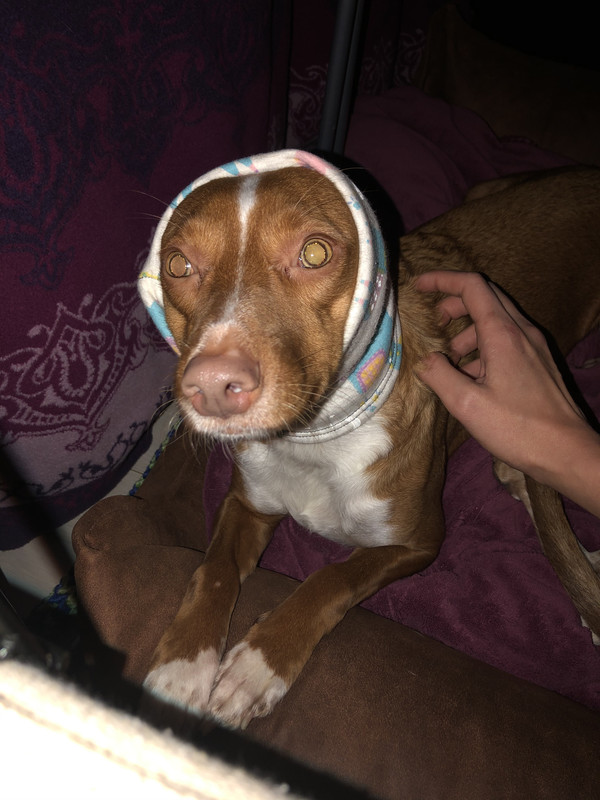 6DD3D69C-3DD6-4888-BFE6-46ABFA0B565E