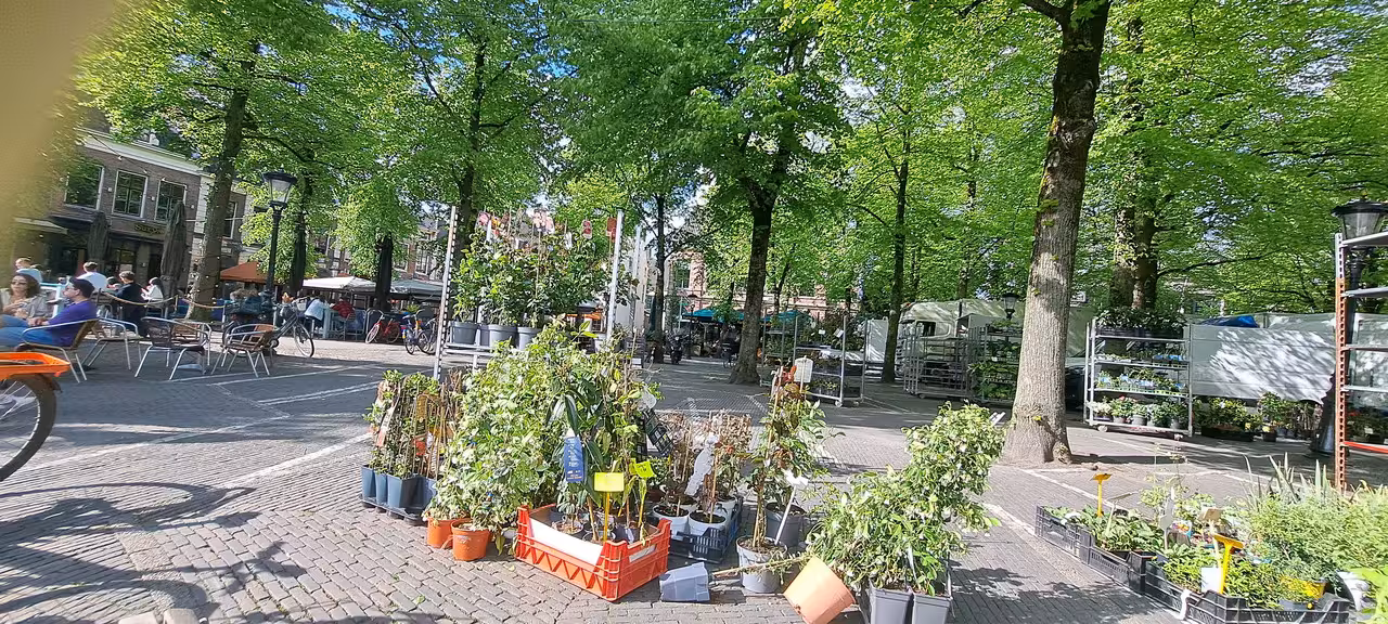[Image: 20240504-171434.avif]