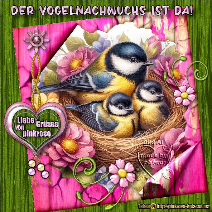 An den Beitrag angehängtes Bild: https://i.postimg.cc/JncYKGcW/Rahmen-Papierfetzen2026-Kohlmeisen-pinkrose1.jpg