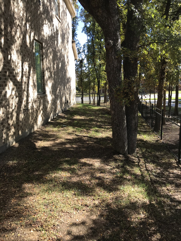 B5CEFD72-D70A-46B7-8C0E-48E28BC4F0E5