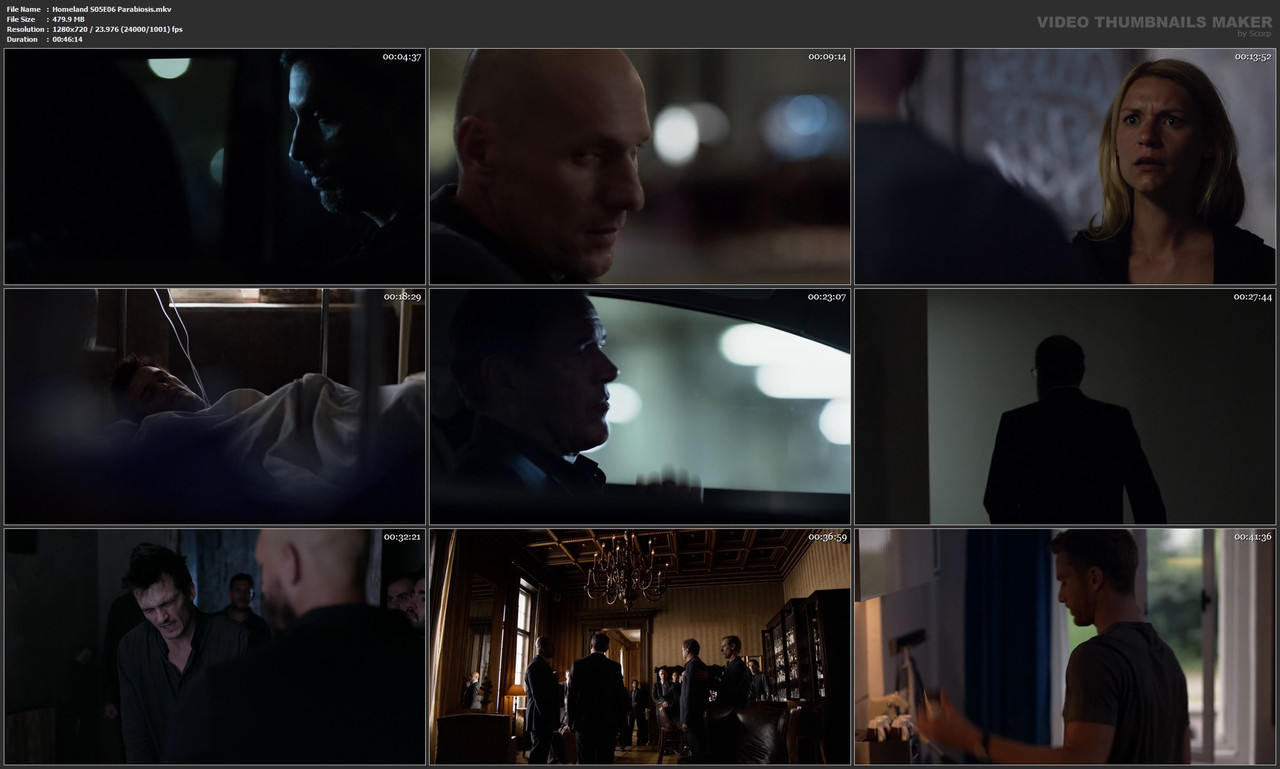 Homeland S05E06 Parabiosis.mkv