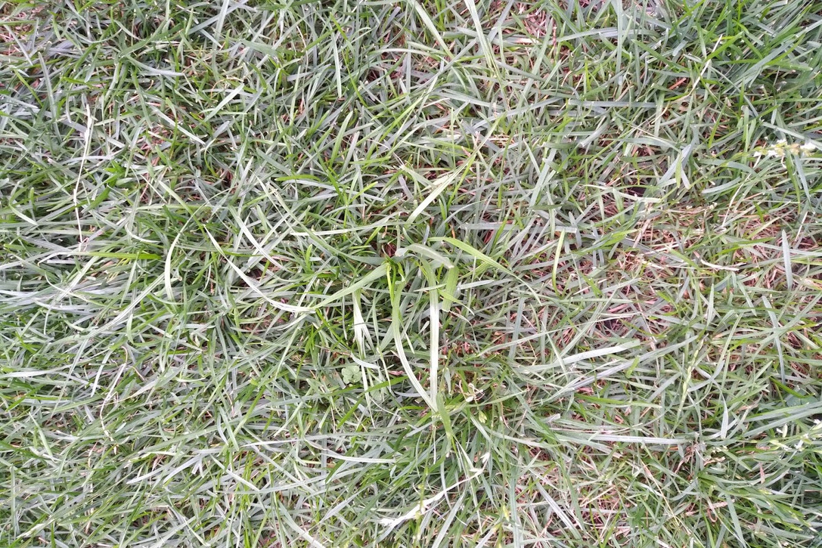 IMG_20180818_1648584